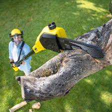 Best Utility Line Clearance  in St Paul, TX